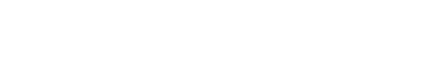 logo light